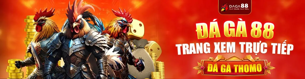 Đá Gà Trực Tuyến VN8DAY Link Vào 2026